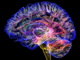 真人操b视频大脑植入物有助于严重头部损伤恢复